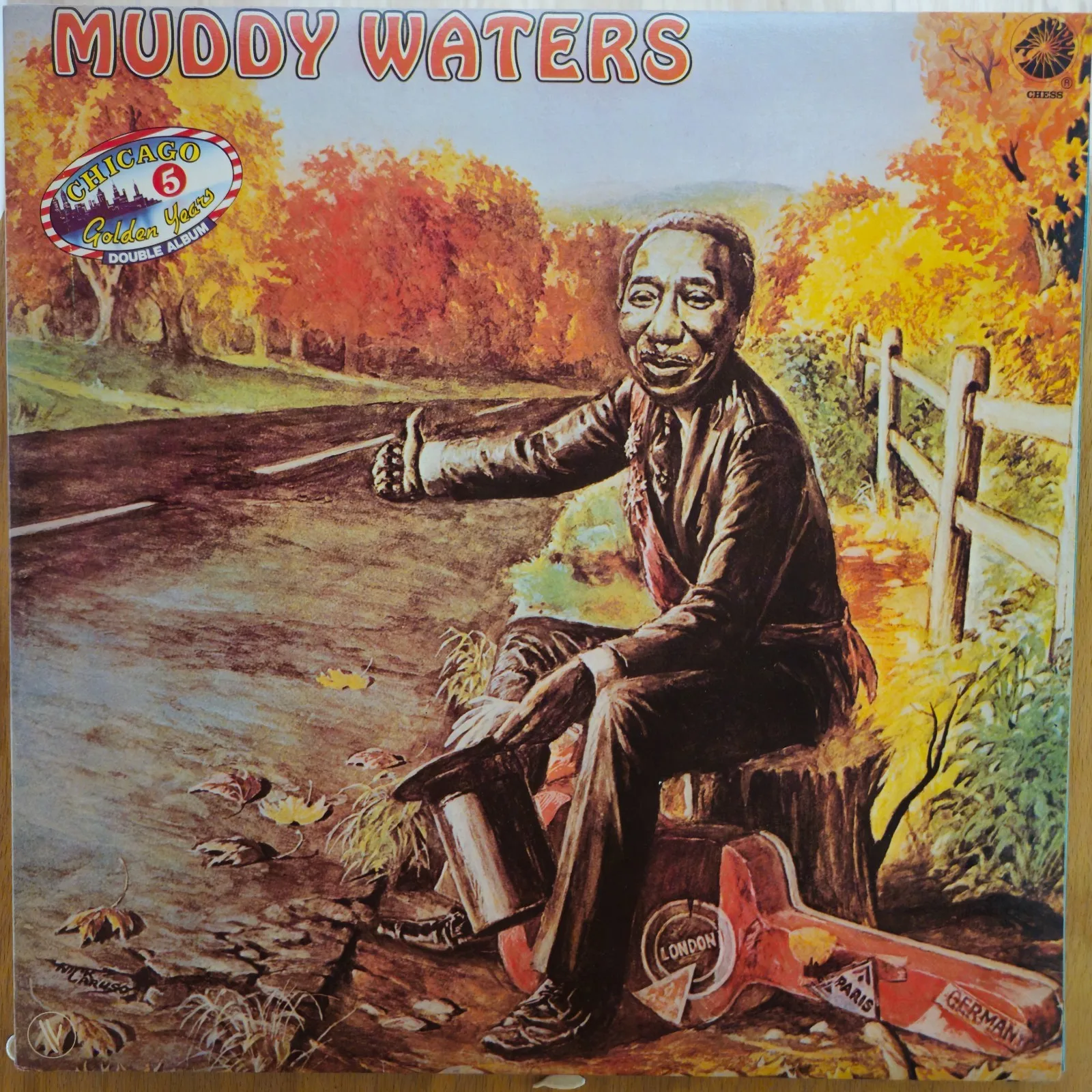 Muddy Waters Chicago Golden Years Double Vinyle LP Chess Blues 33t